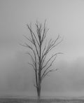 Still Standing