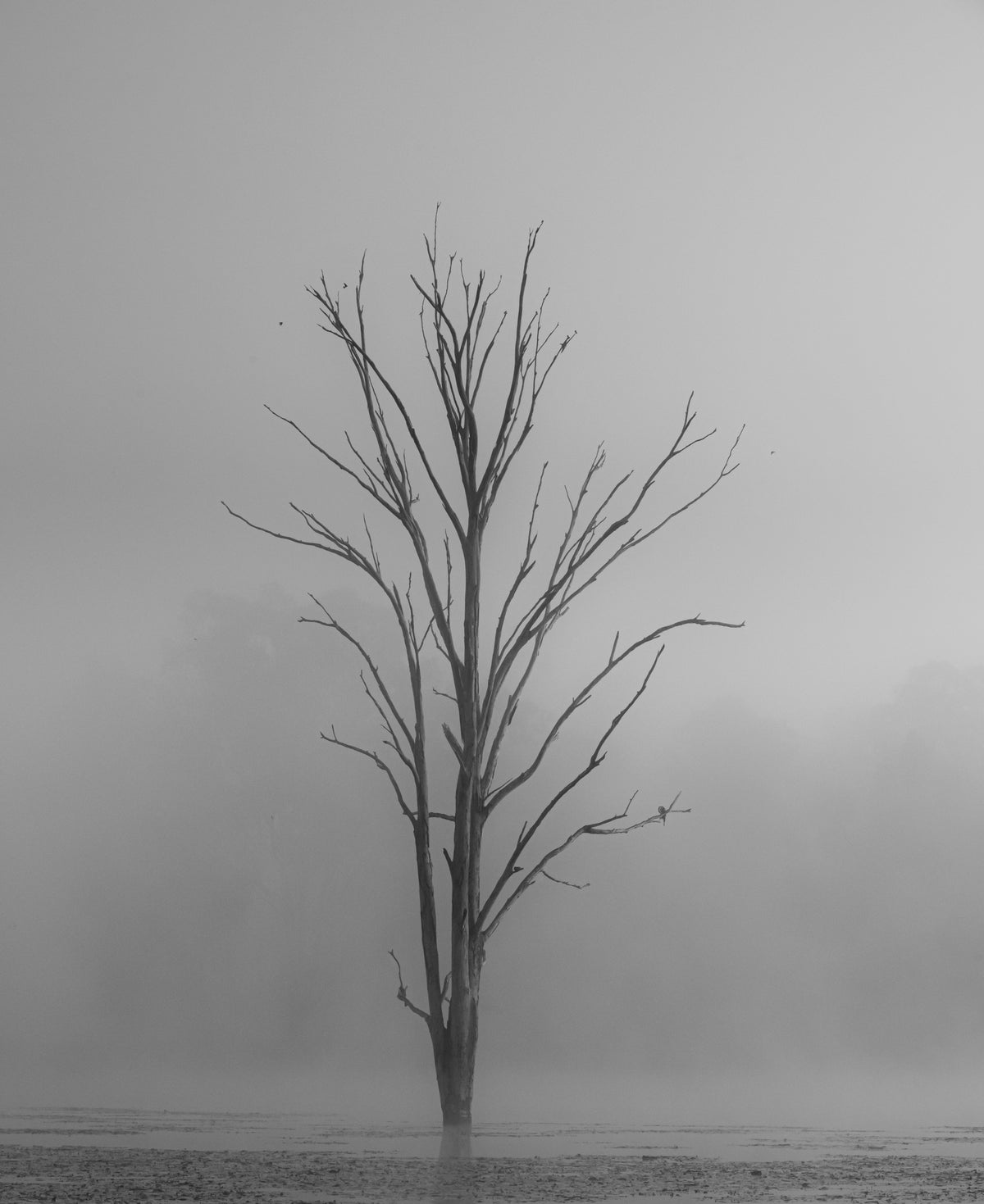 Still Standing